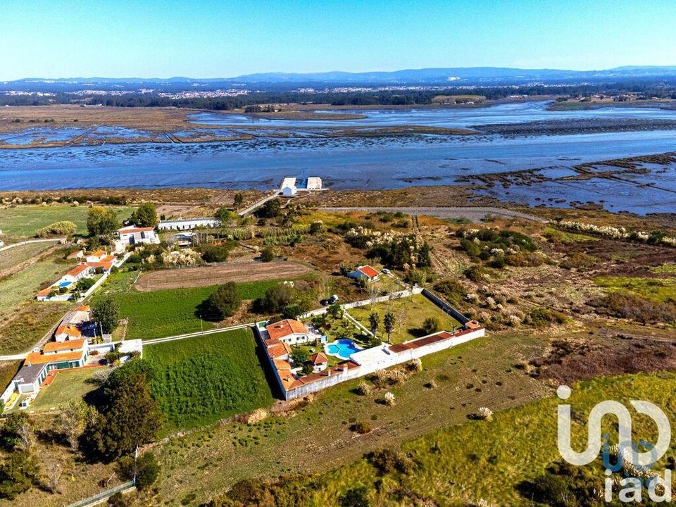 Farm i Ovar, Aveiro - foto 2