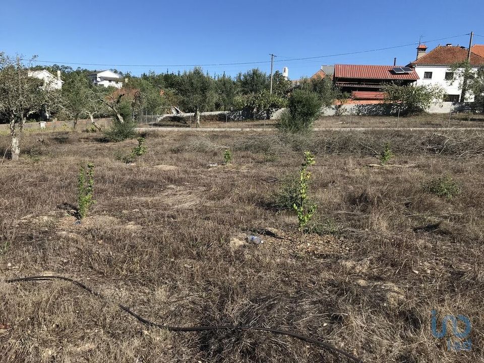 Helårsgrund i Ourem, Santarem - foto 1