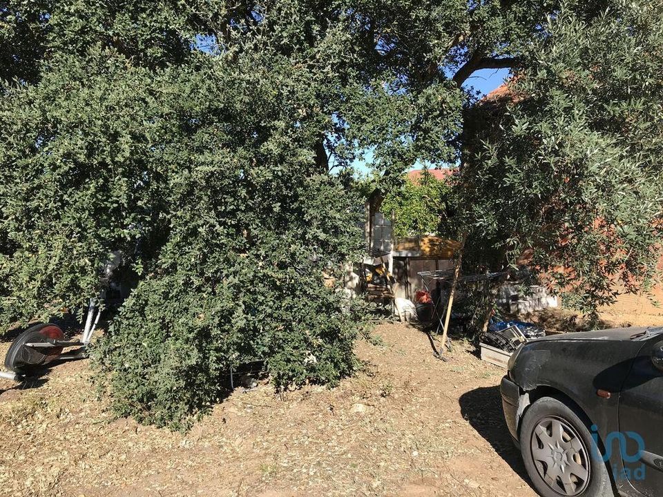 Helårsgrund i Ourem, Santarem - foto 3