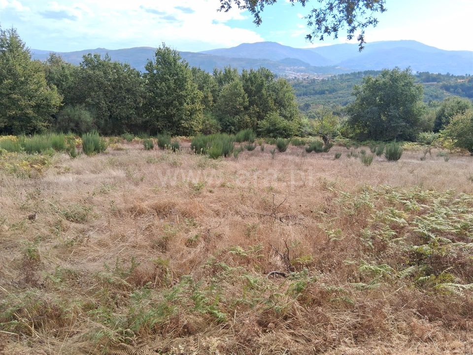 Helårsgrund i Seia, Guarda - foto 1