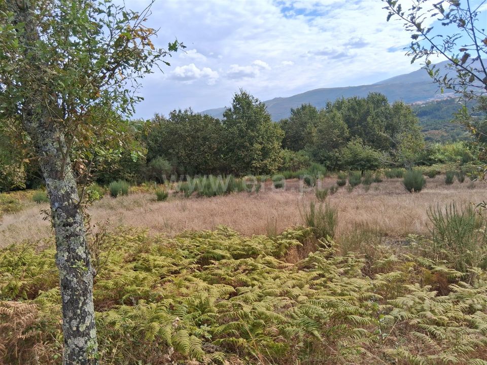 Helårsgrund i Seia, Guarda - foto 2