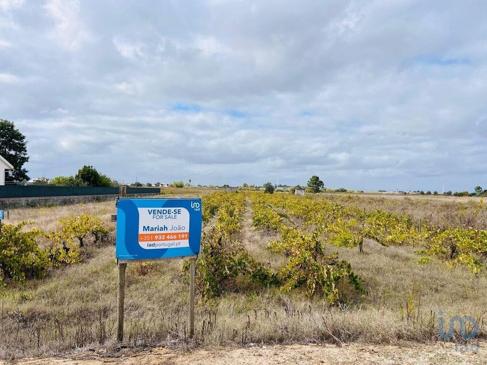 Helårsgrund i Alpiarca, Santarem - foto 1