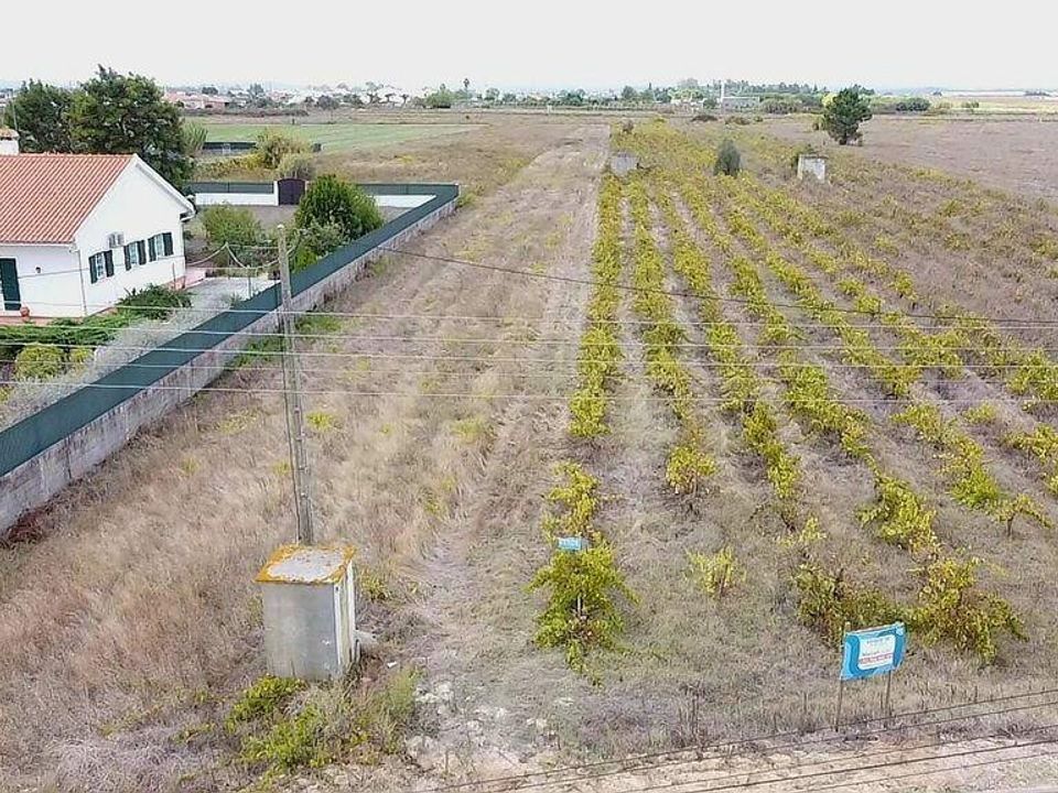 Helårsgrund i Alpiarca, Santarem - foto 5