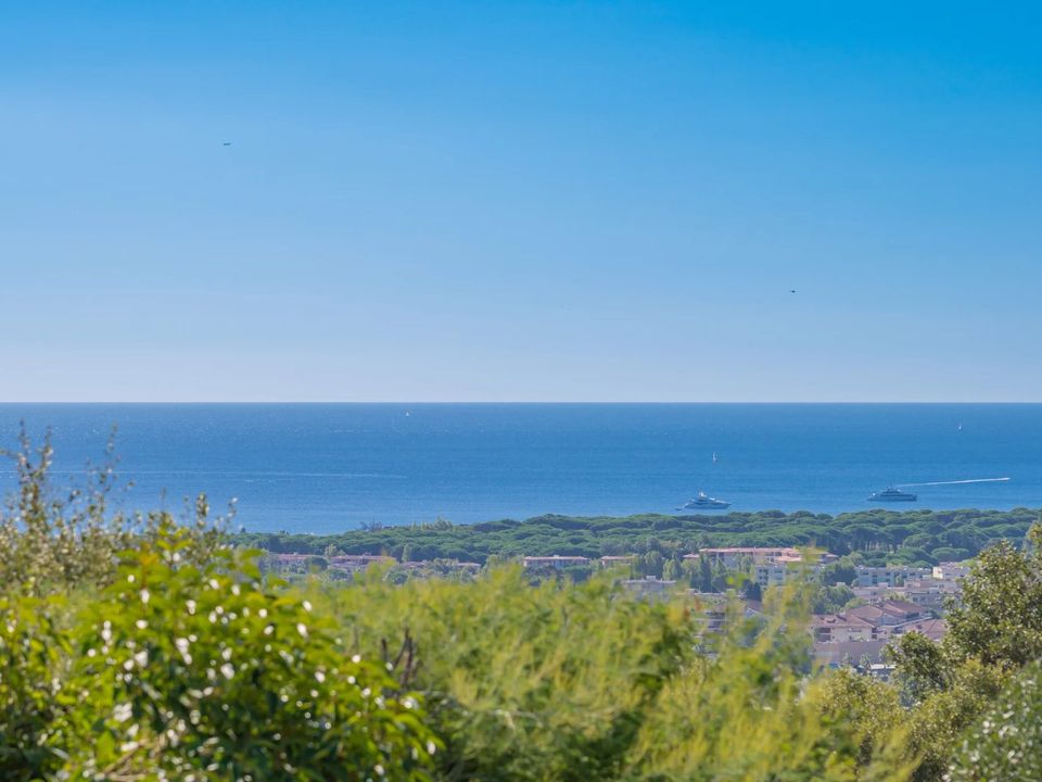 Villa i Mandelieu-la-Napoule, Alpes-Maritimes - foto 3