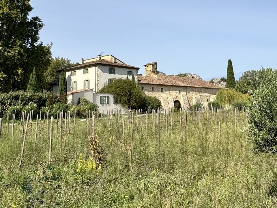 Villa i Avignon, Vaucluse - bilde 2