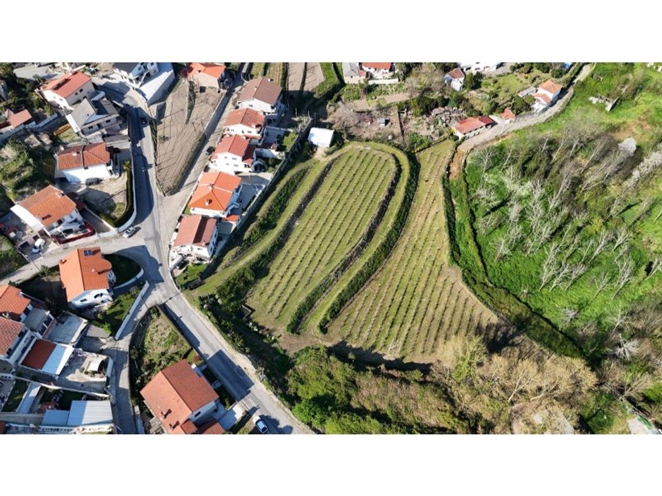 Helårsgrund i Felgueiras, Porto - foto 2