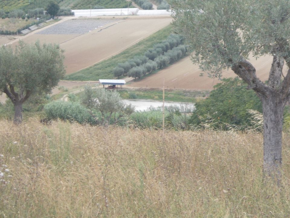 Willa: Colonnella, Teramo – zdjęcie 2