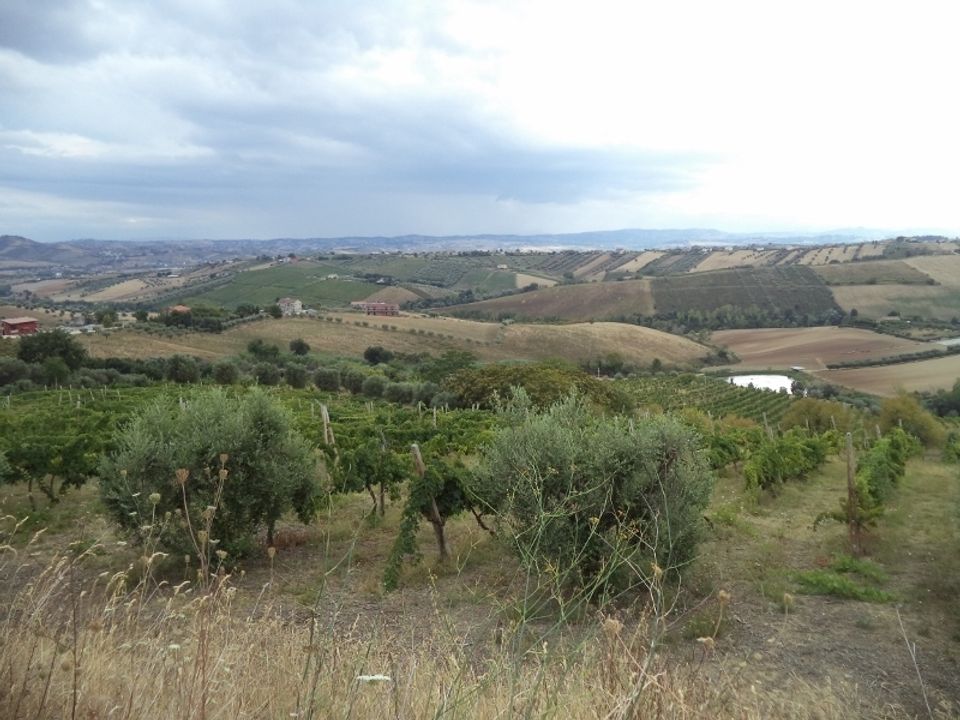 Willa: Colonnella, Teramo – zdjęcie 3