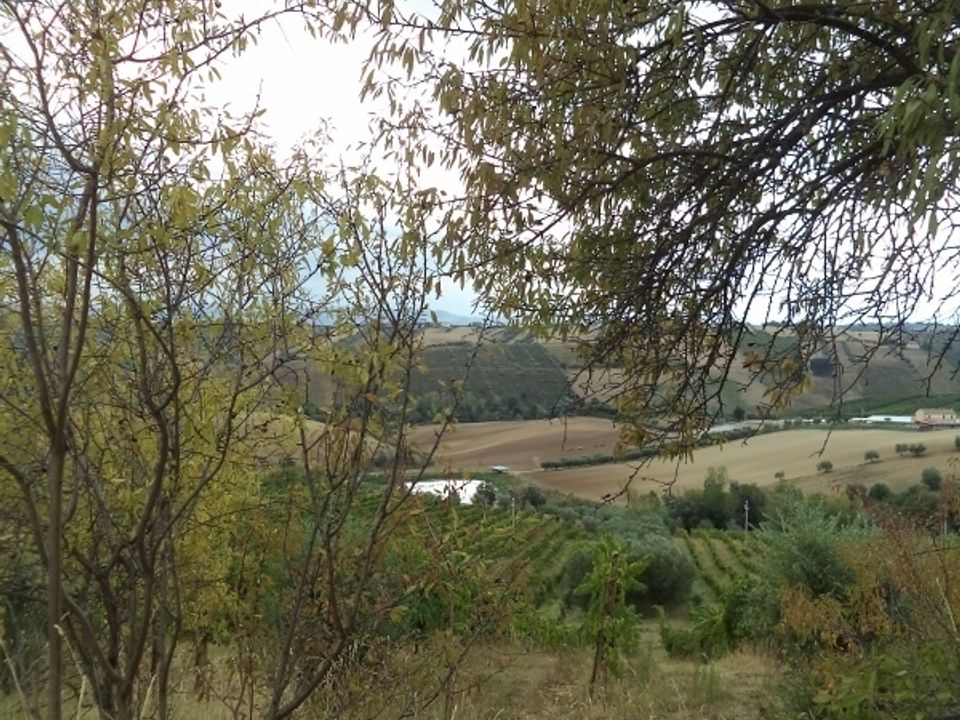 Willa: Colonnella, Teramo – zdjęcie 4