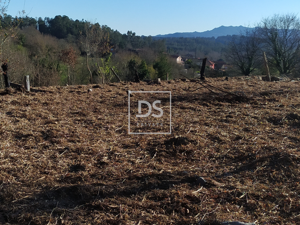 Villa i Carvalhais e Candal, Viseu - foto 5