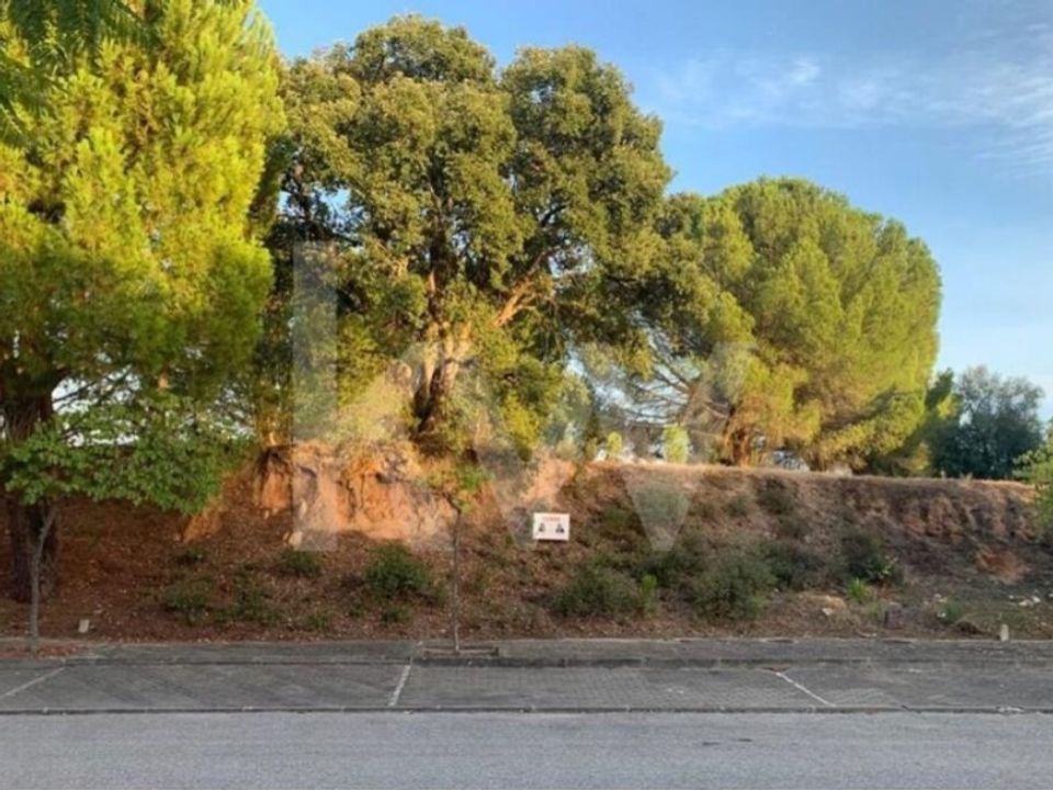 Helårsgrund i Entroncamento, Santarem - foto 2
