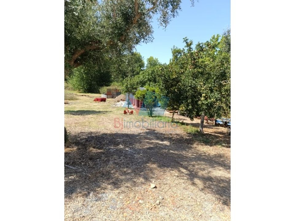 Farm i Beringel, Beja - foto 2