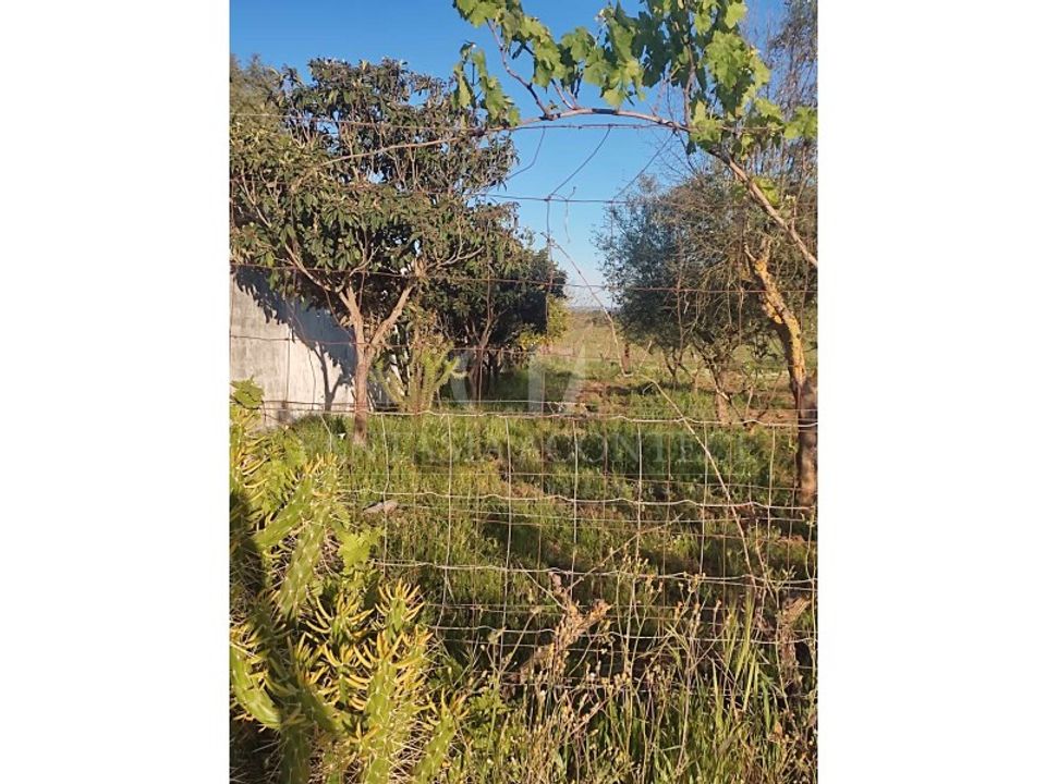 Helårsgrund i Casa Branca, Portalegre - foto 5