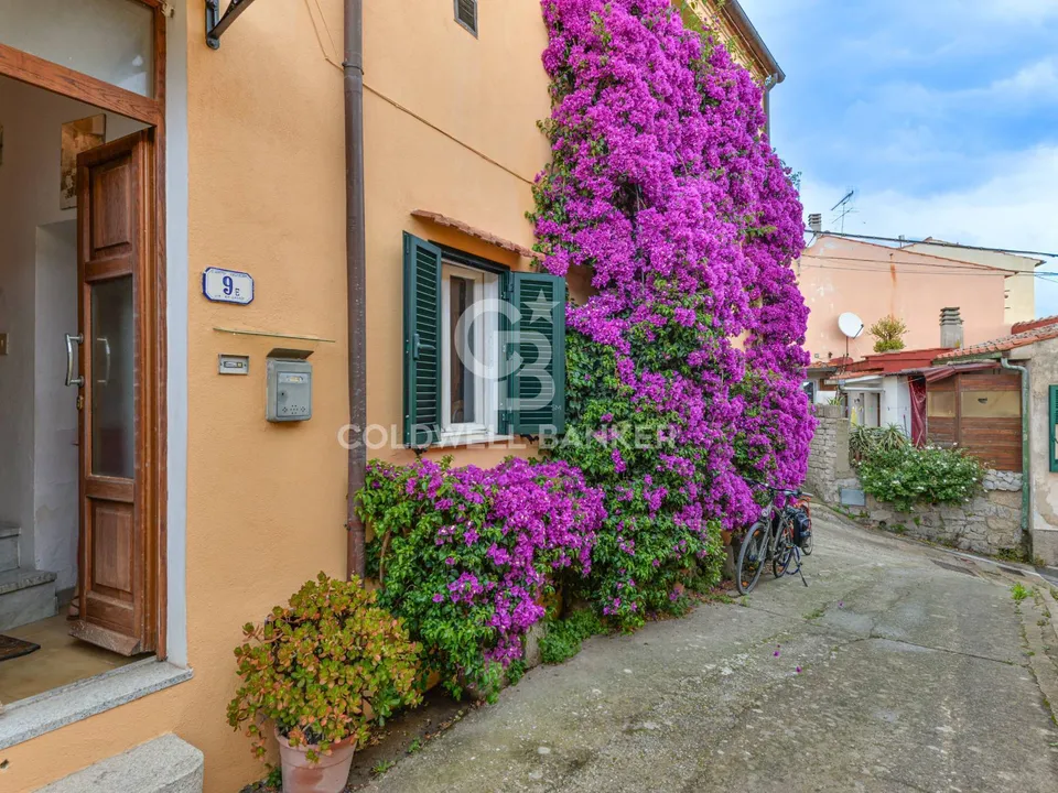 Lejlighed i Campo Nell'Elba, Livorno - foto 2