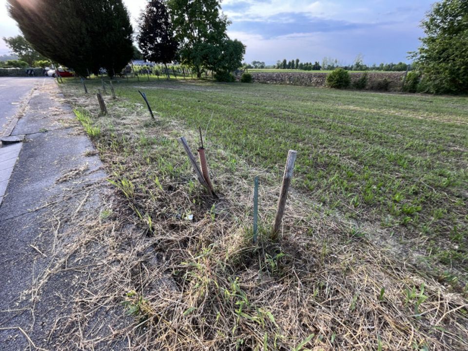 Helårsgrund i Veggiano, Padua - foto 3