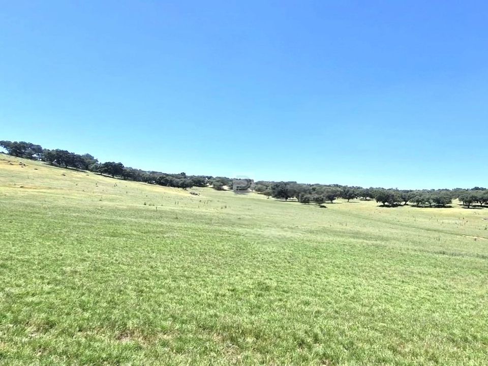 Farm hus i Terrugem e Vila Boim, Portalegre - foto 1