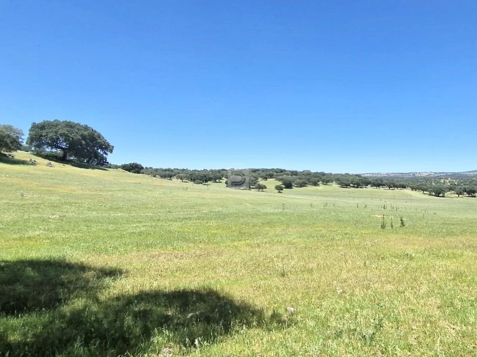 Farm hus i Terrugem e Vila Boim, Portalegre - foto 3