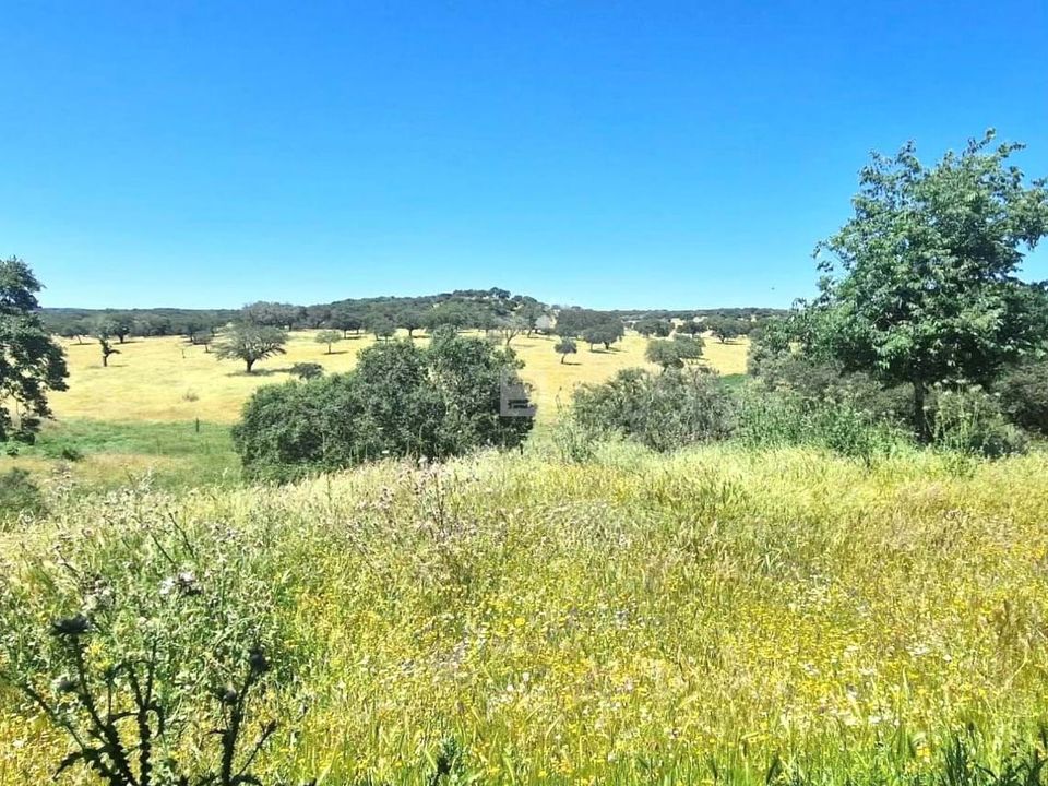 Farm hus i Terrugem e Vila Boim, Portalegre - foto 4