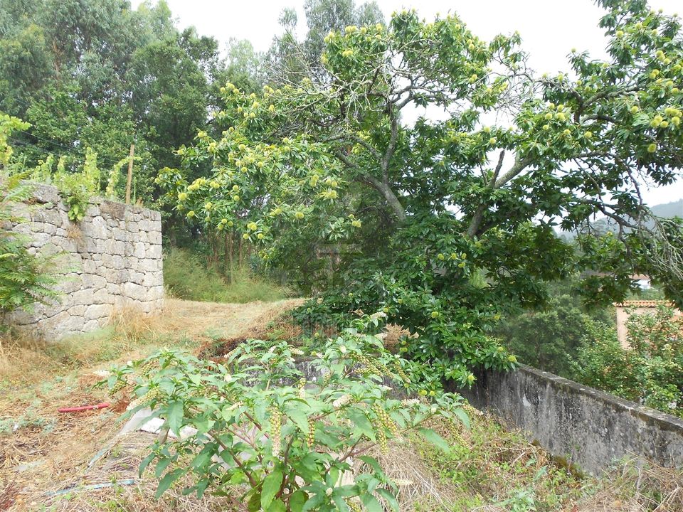 Helårsgrund i Penafiel, Porto - foto 4