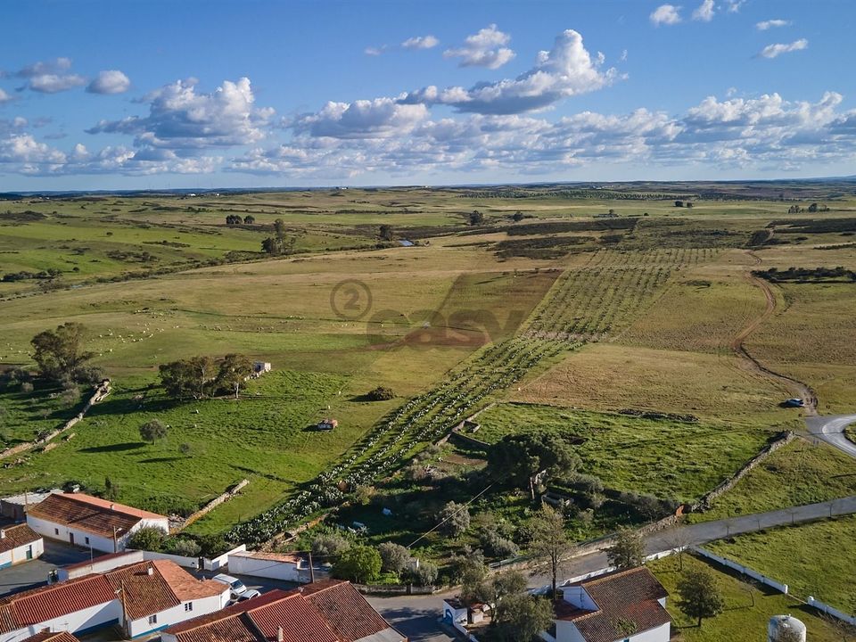 Terra a Castro Verde, Beja - foto 2
