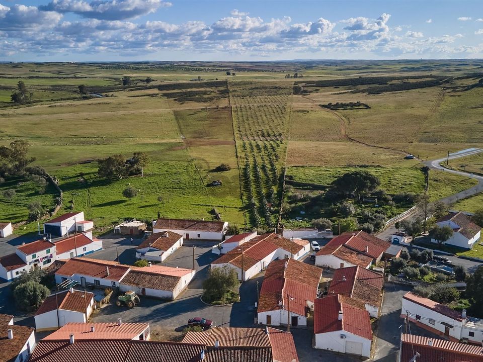 Terra a Castro Verde, Beja - foto 4