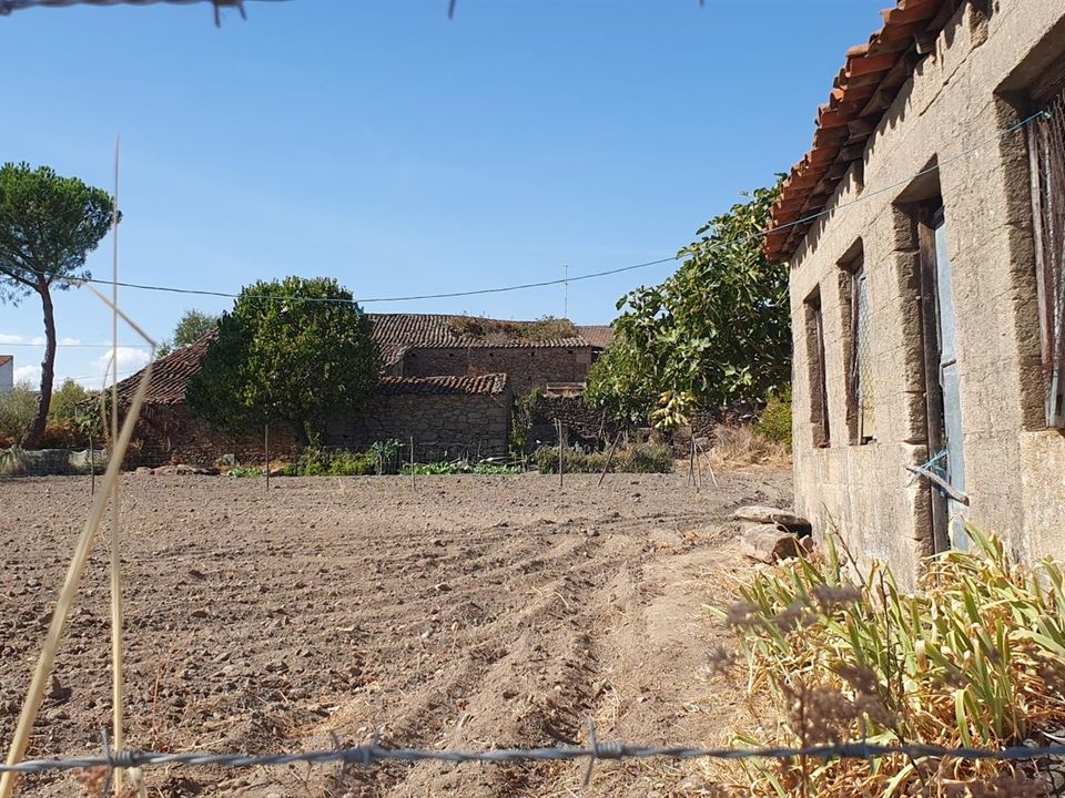 Tomt i Figueira de Castelo Rodrigo, Guarda - bilde 4
