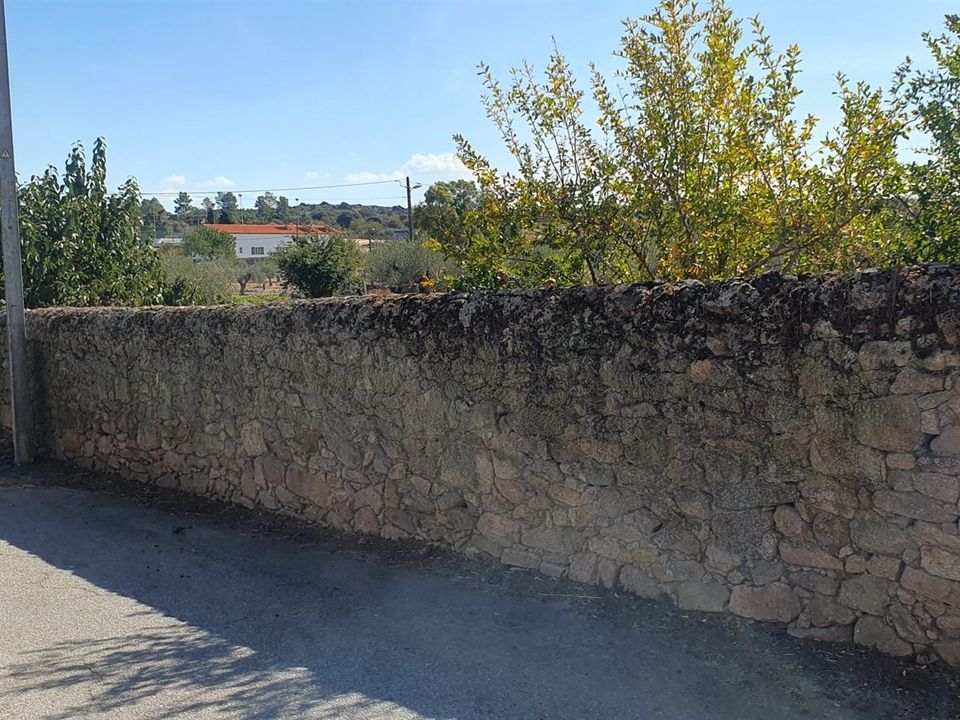 Tomt i Figueira de Castelo Rodrigo, Guarda - bilde 5