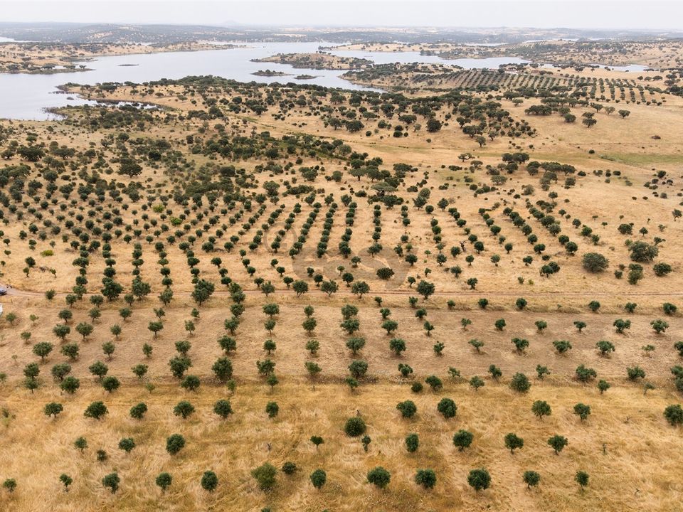 Helårsgrund i Alandroal, Evora - foto 5