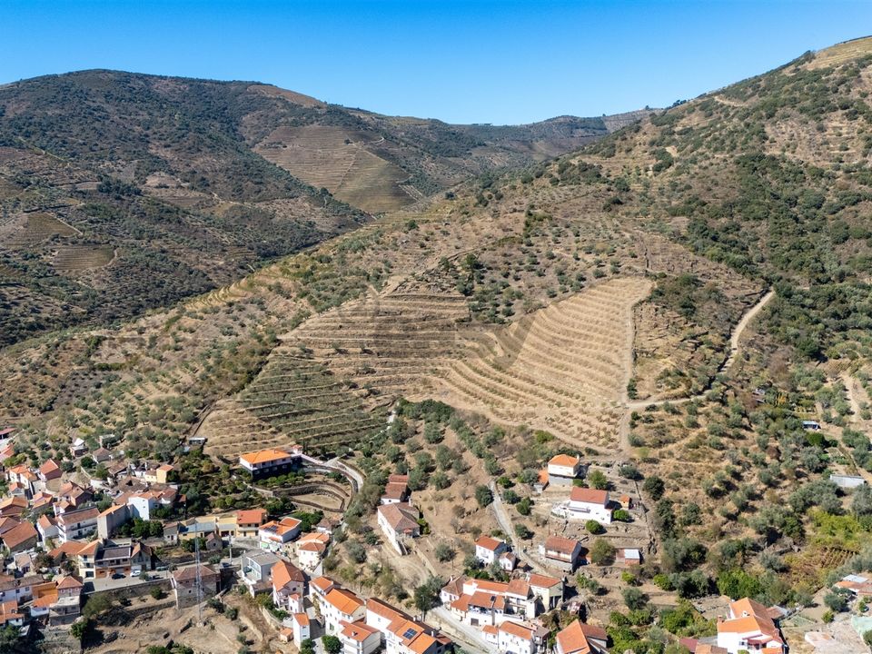 Farm i Sao Joao da Pesqueira, Viseu - foto 3