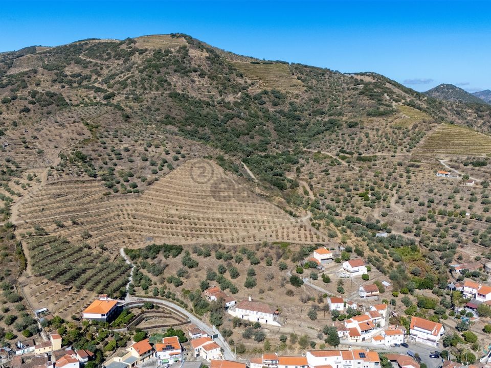 Farm i Sao Joao da Pesqueira, Viseu - foto 4