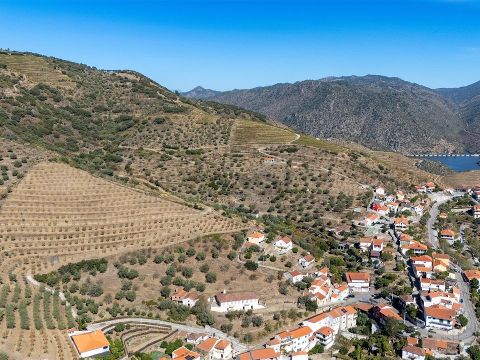 Farm i Sao Joao da Pesqueira, Viseu - foto 5