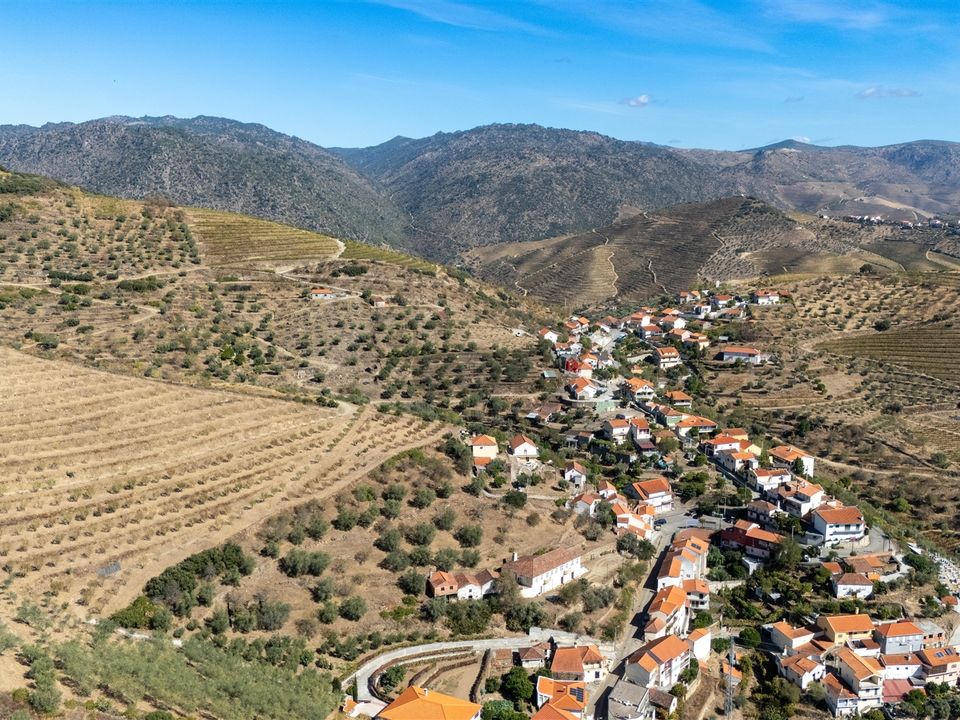 Gård i Sao Joao da Pesqueira, Viseu - bilde 5