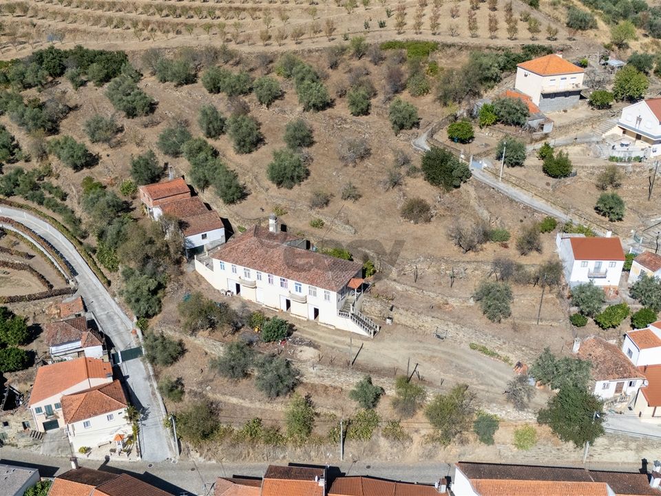 Farm i Sao Joao da Pesqueira, Viseu - foto 1