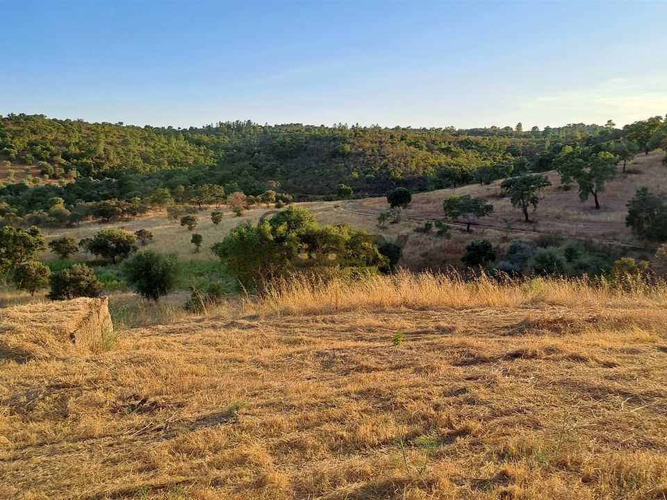 Terreno en Portel, Evora - foto 1