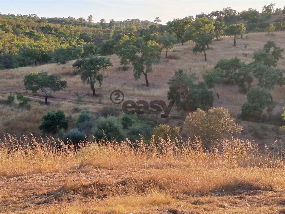 Terreno en Portel, Evora - foto 2