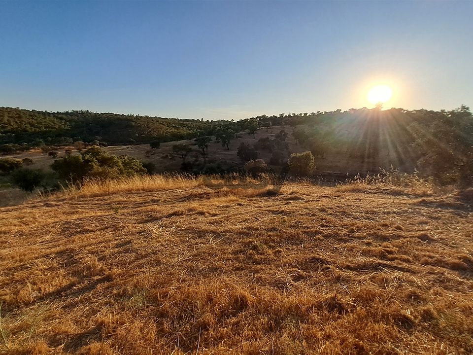 Terreno en Portel, Evora - foto 3