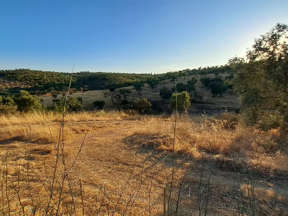 Terreno en Portel, Evora - foto 4