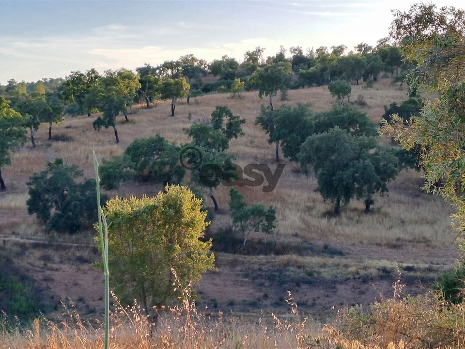 Terreno en Portel, Evora - foto 5