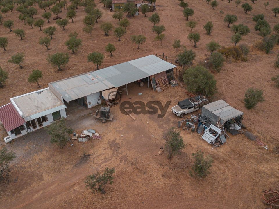 Terreno en Portel, Evora - foto 1