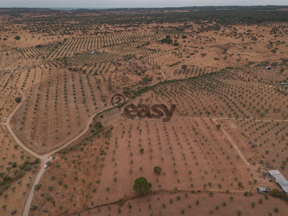 Terreno en Portel, Evora - foto 2