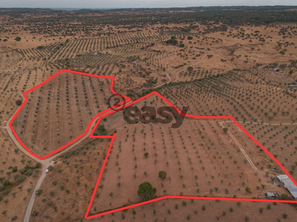 Terreno en Portel, Evora - foto 3