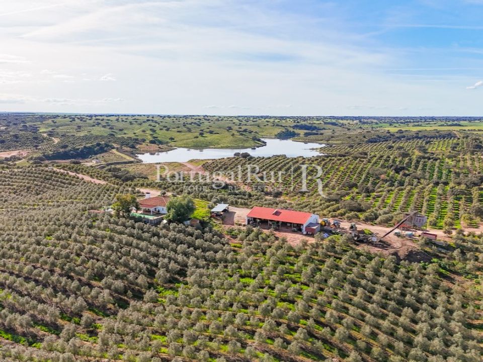 Landejendom i Cabeca Gorda, Beja - foto 2