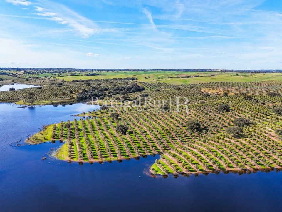 Landejendom i Cabeca Gorda, Beja - foto 3