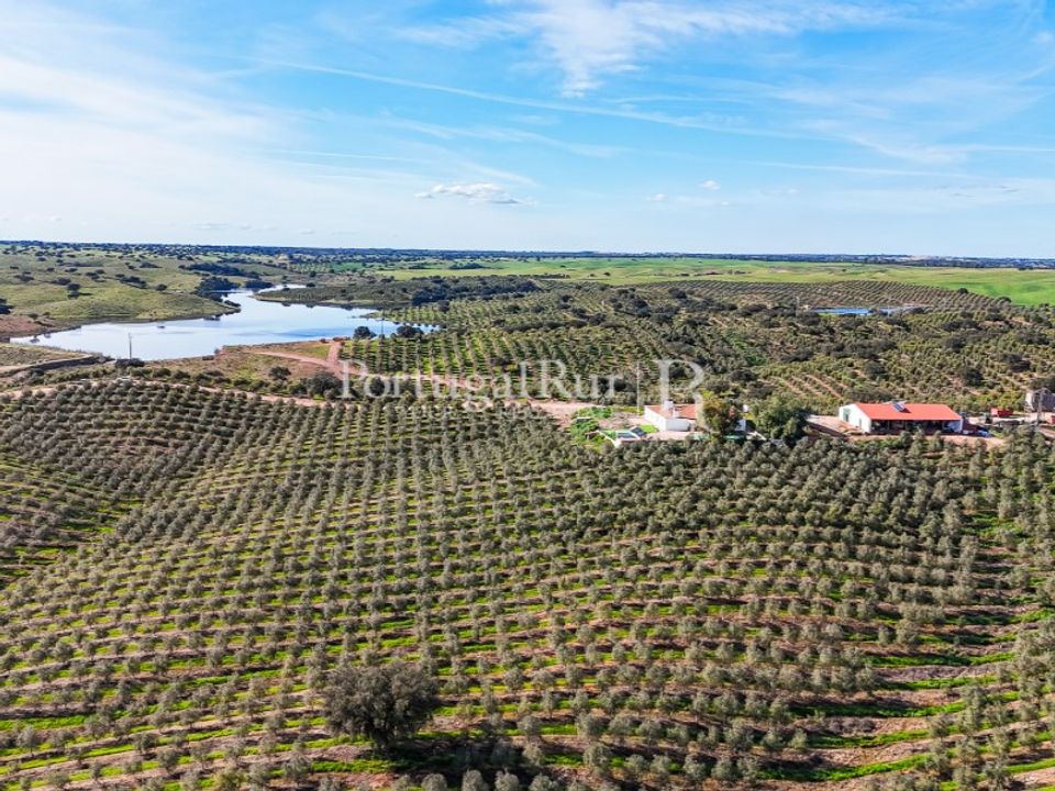 Landejendom i Cabeca Gorda, Beja - foto 5