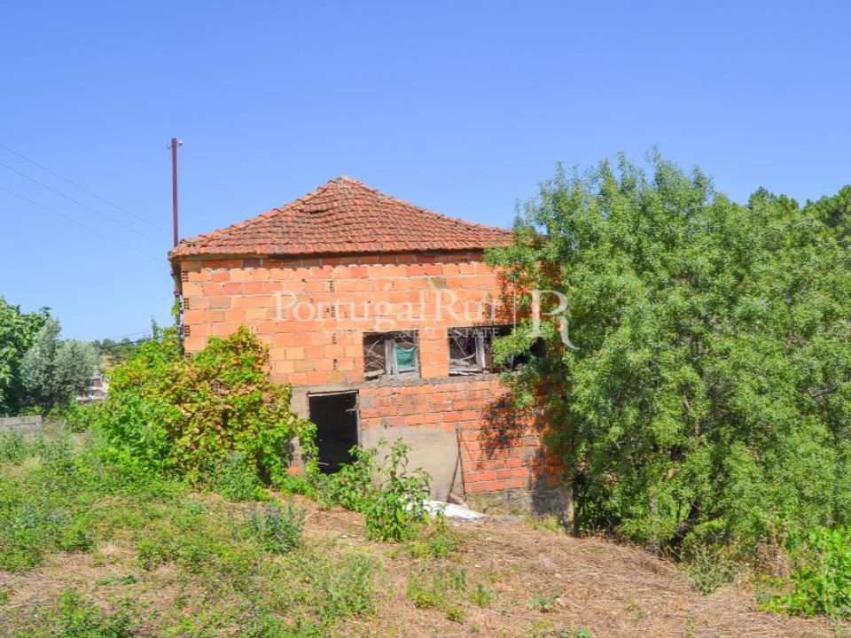 Landejendom i Proenca-a-Nova, Castelo Branco - foto 5