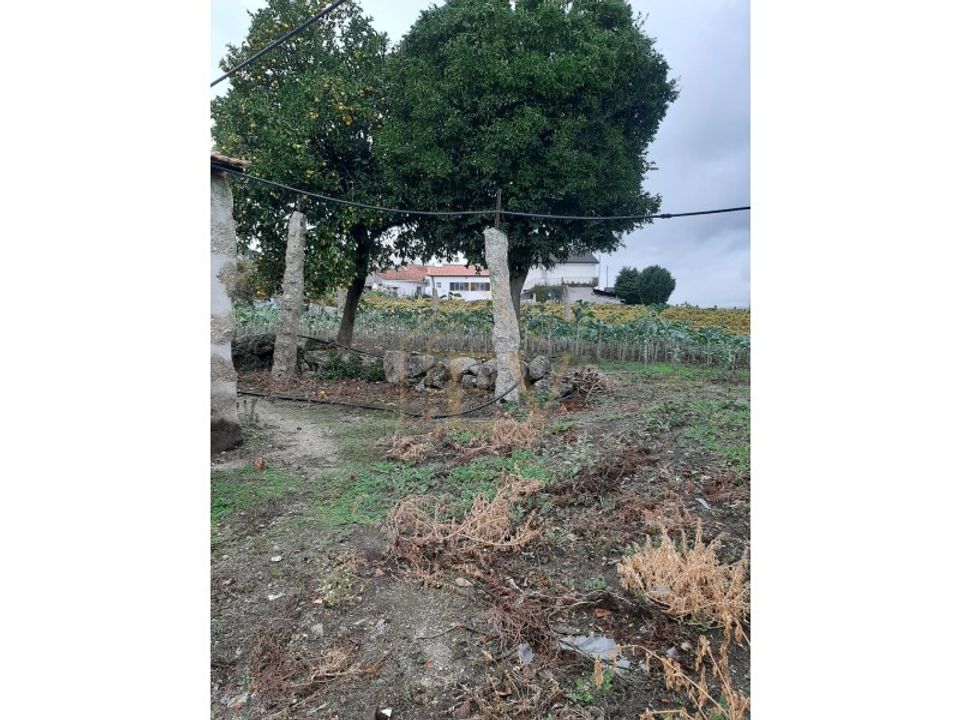 Villa i Guimaraes, Braga - foto 2