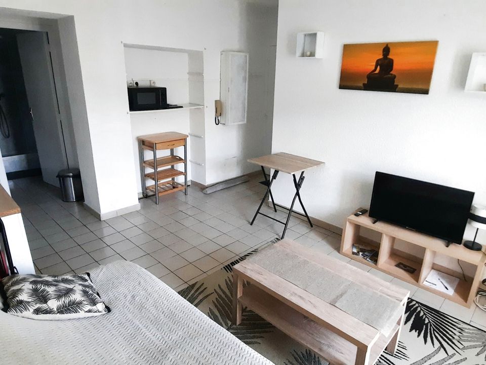 Studio i Amelie-les-Bains-Palalda, Pyrenees-Orientales - foto 3