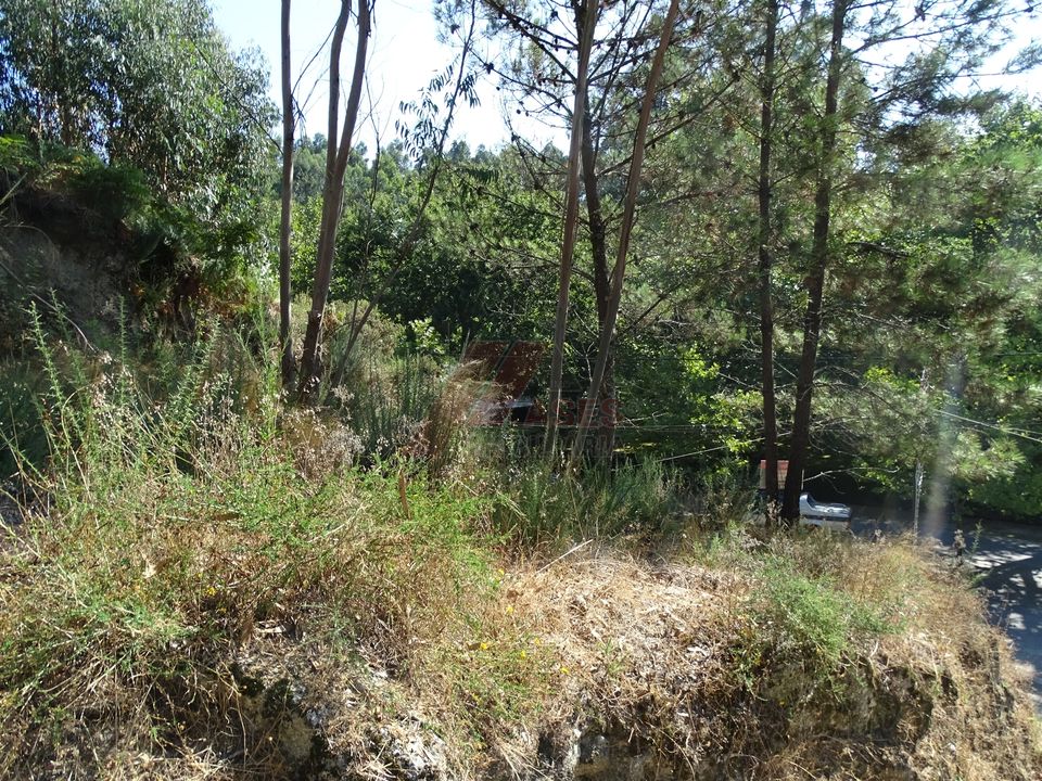 Helårsgrund i Fafe, Braga - foto 3