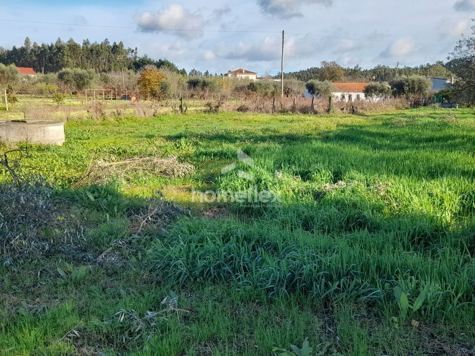 Helårsgrund i Soure, Coimbra - foto 2