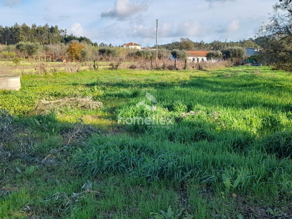 Helårsgrund i Soure, Coimbra - foto 3